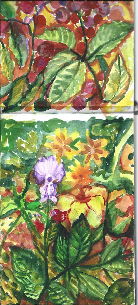 Sketchbook Botanic Iris by Michelle Hinebrook, Image 1.