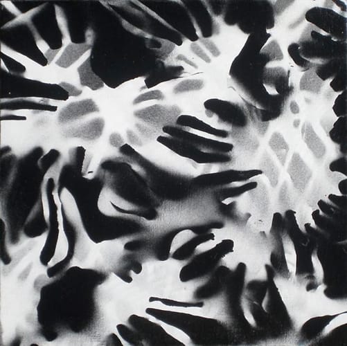 Splat by Michelle Hinebrook 