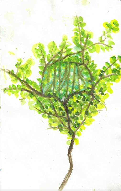 Tree Aperture by Michelle Hinebrook, Image 1.