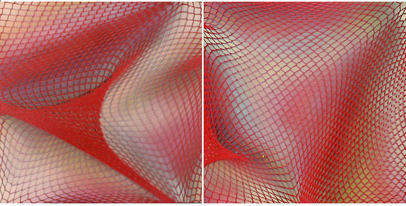 Supple Series by Michelle Hinebrook 