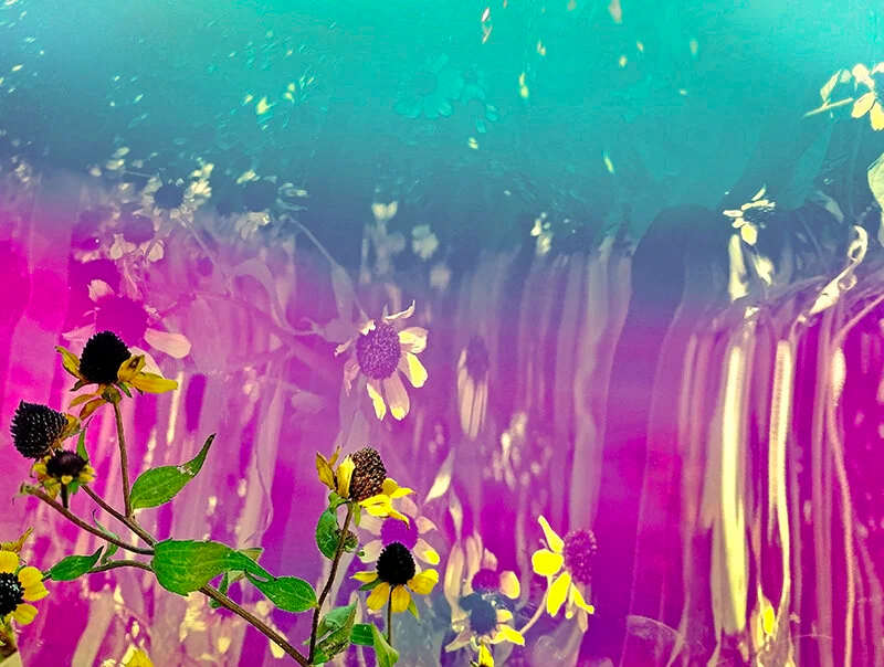 3 by Michelle Hinebrook  Image: Edition of 20 signed, custom sizes are available 