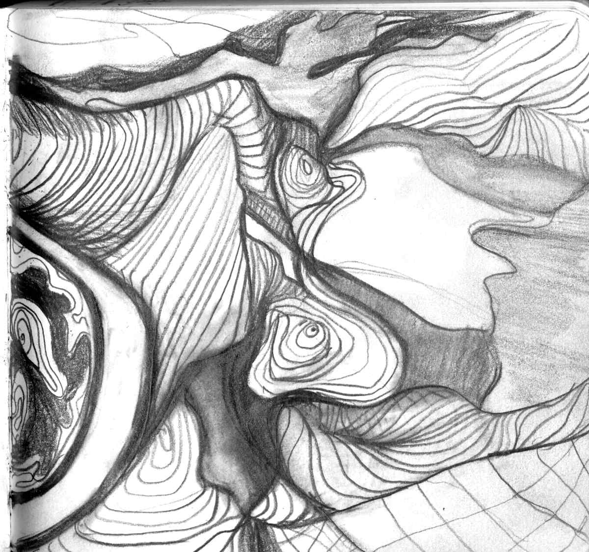 Sketchbook PP Topography Study by Michelle Hinebrook, Image 8.