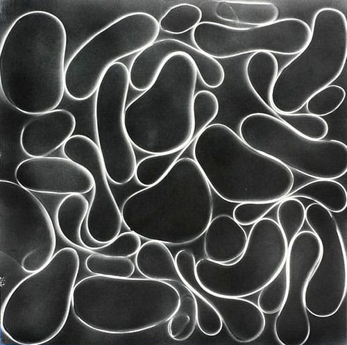 snap 2 by Michelle Hinebrook 