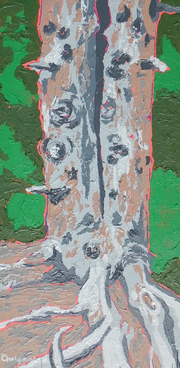 Tree Twins, Image 1.