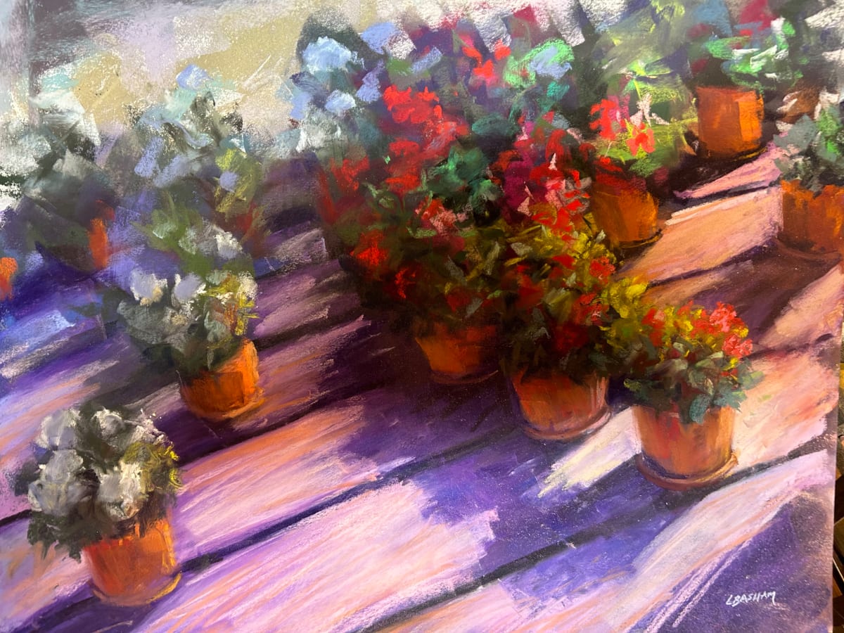 Catching the Light by Laurie Basham 