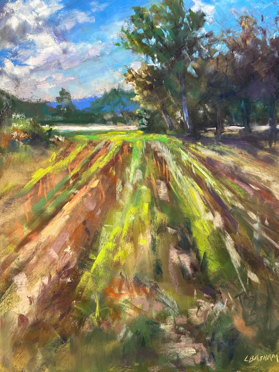 After the Harvest by Laurie Basham 