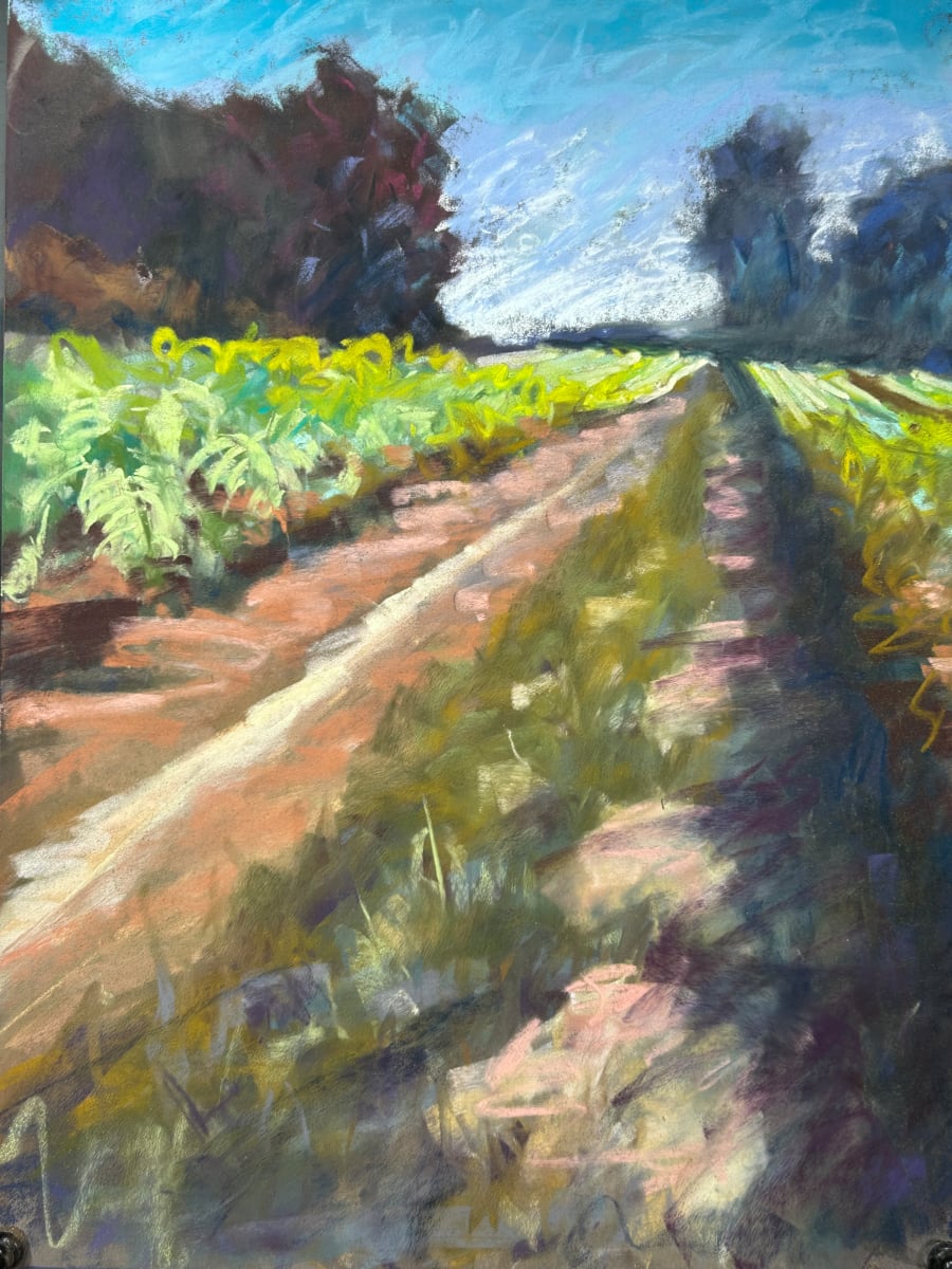 Tobacco Fields in Pinnacle by Laurie Basham 