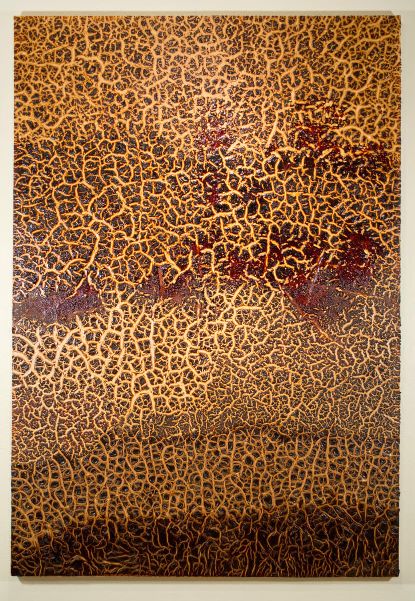 Untitled (Eco styler, African Essence, Softee, Ampro Pro Styl) by Christina Coleman  Image: Photo: Mark Doroba