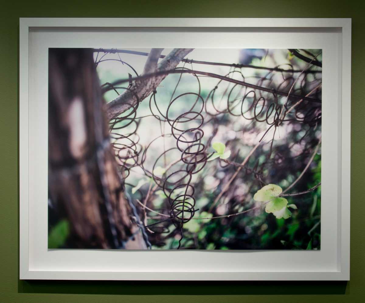 Untitled #14 [Wire Fence] by Hakeem Adewumi 