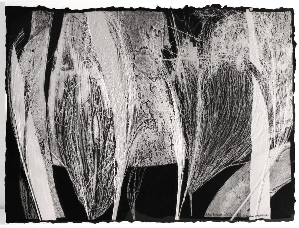 Black and White XIV by Brenda Hartill  Image: Embossed monoprint