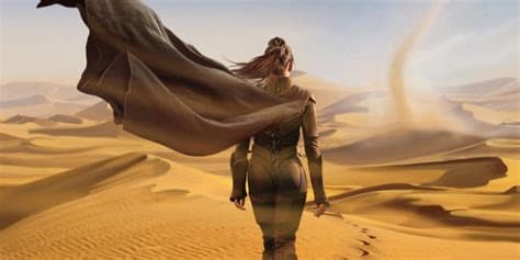 Dune storm by Kevin Barnes, Image 7.