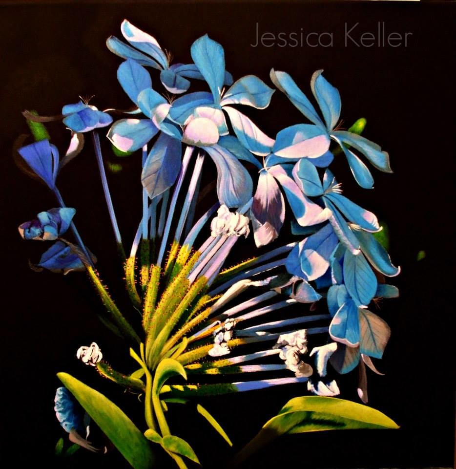 Shadowed Plumbago by Jessica Keller 