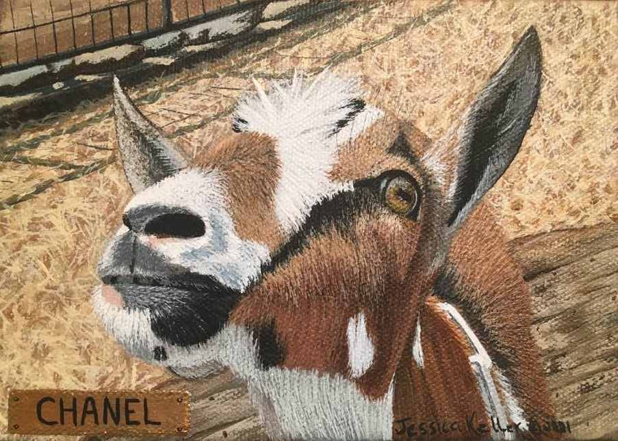 Pet Portrait (Donation) by Jessica Keller 