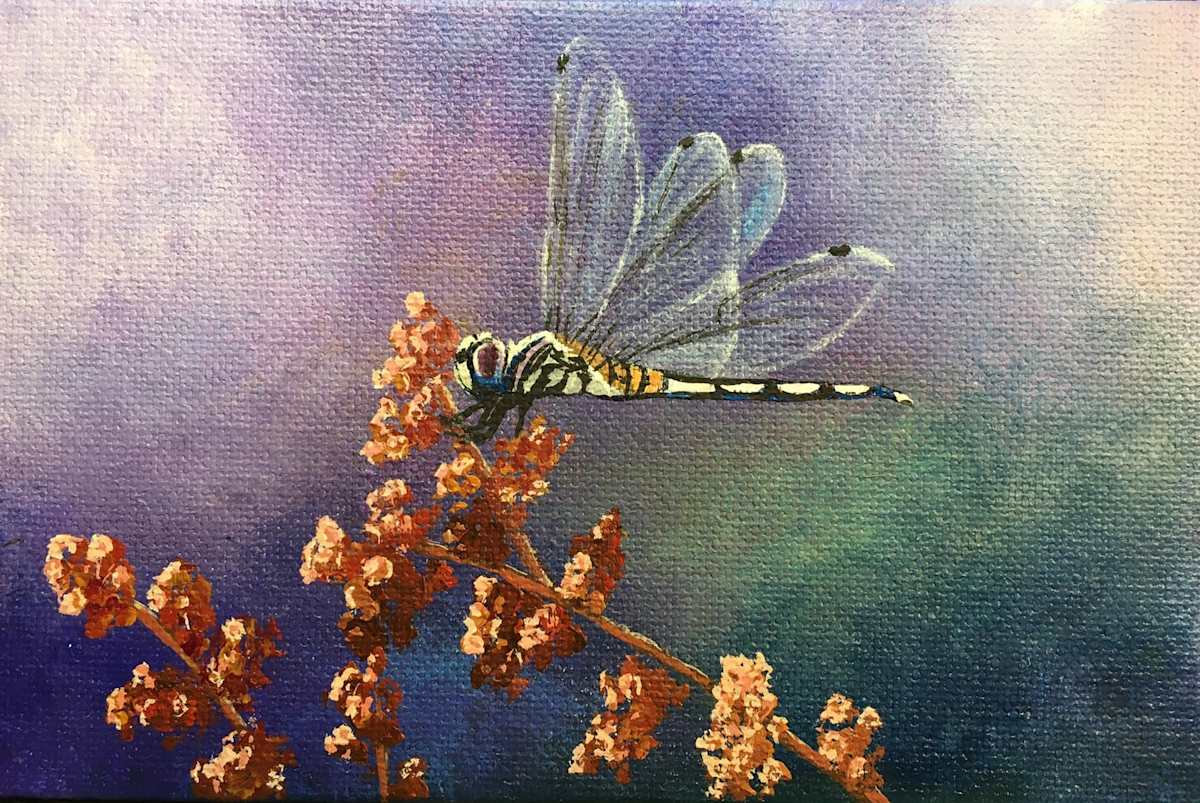 Purple Dragonfly by Jessica Keller 