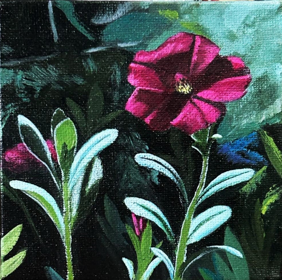 Magenta Petunia by Jessica Keller 
