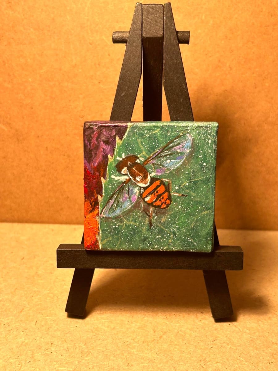 Hover Fly by Jessica Keller 