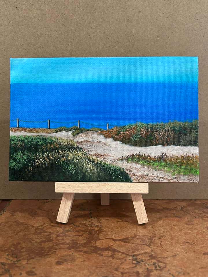 Blacks Beach Park Viewpoint by Jessica Keller 