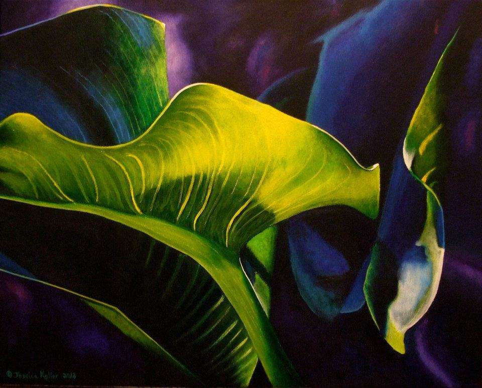 Untitled Leaf by Jessica Keller 