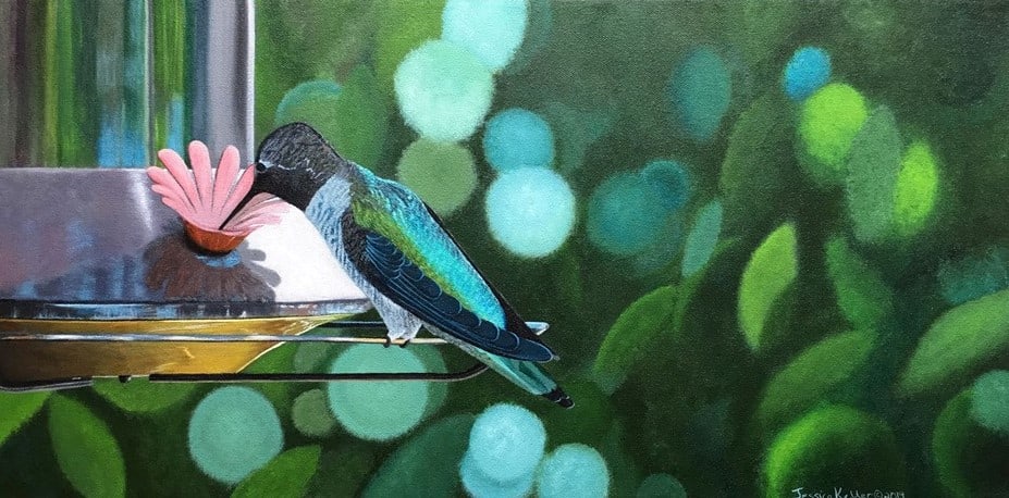 Garden Hummingbird 