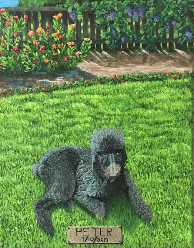 Peter by Jessica Keller 