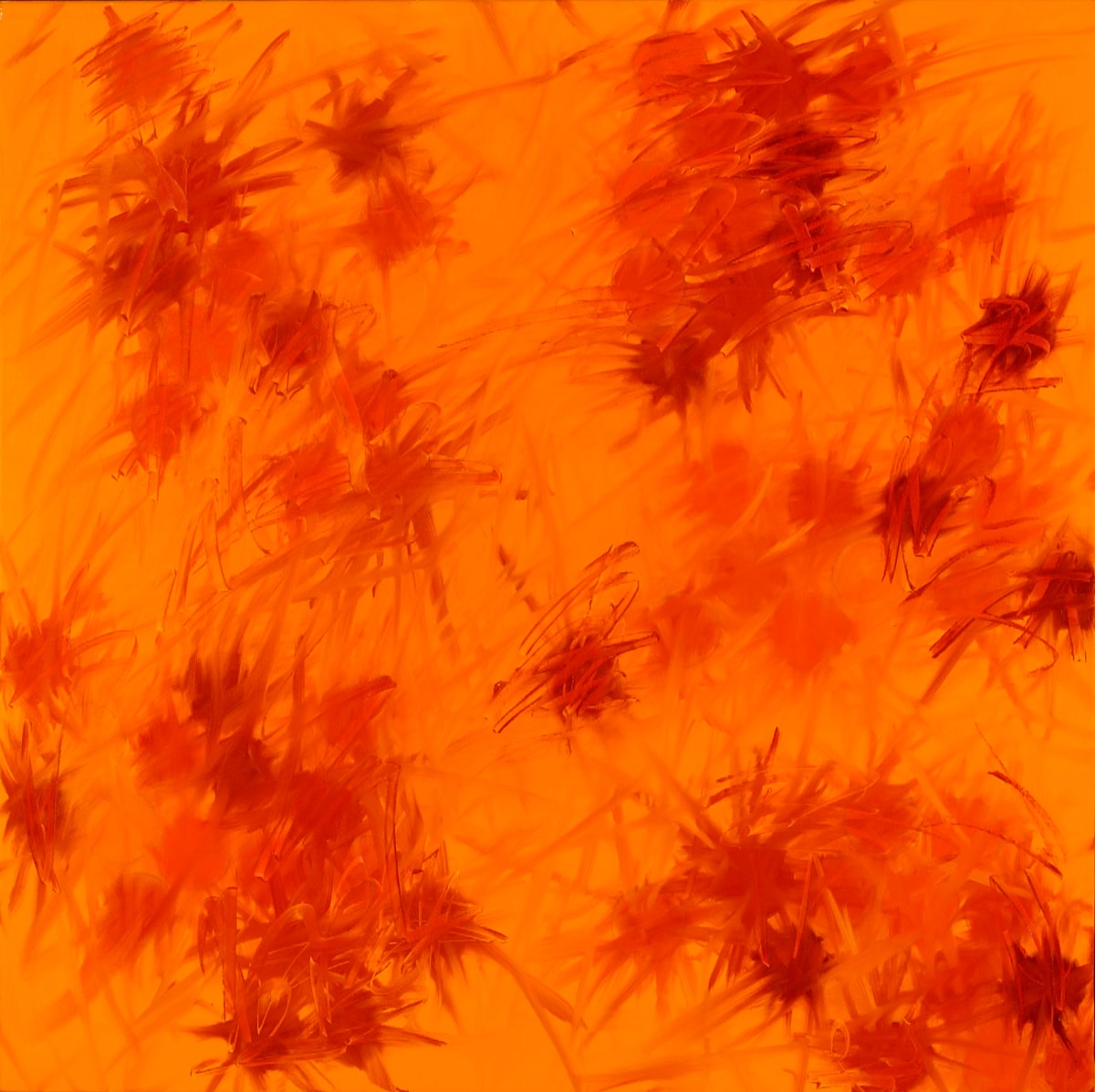 Color Orange by Linda Sirow 