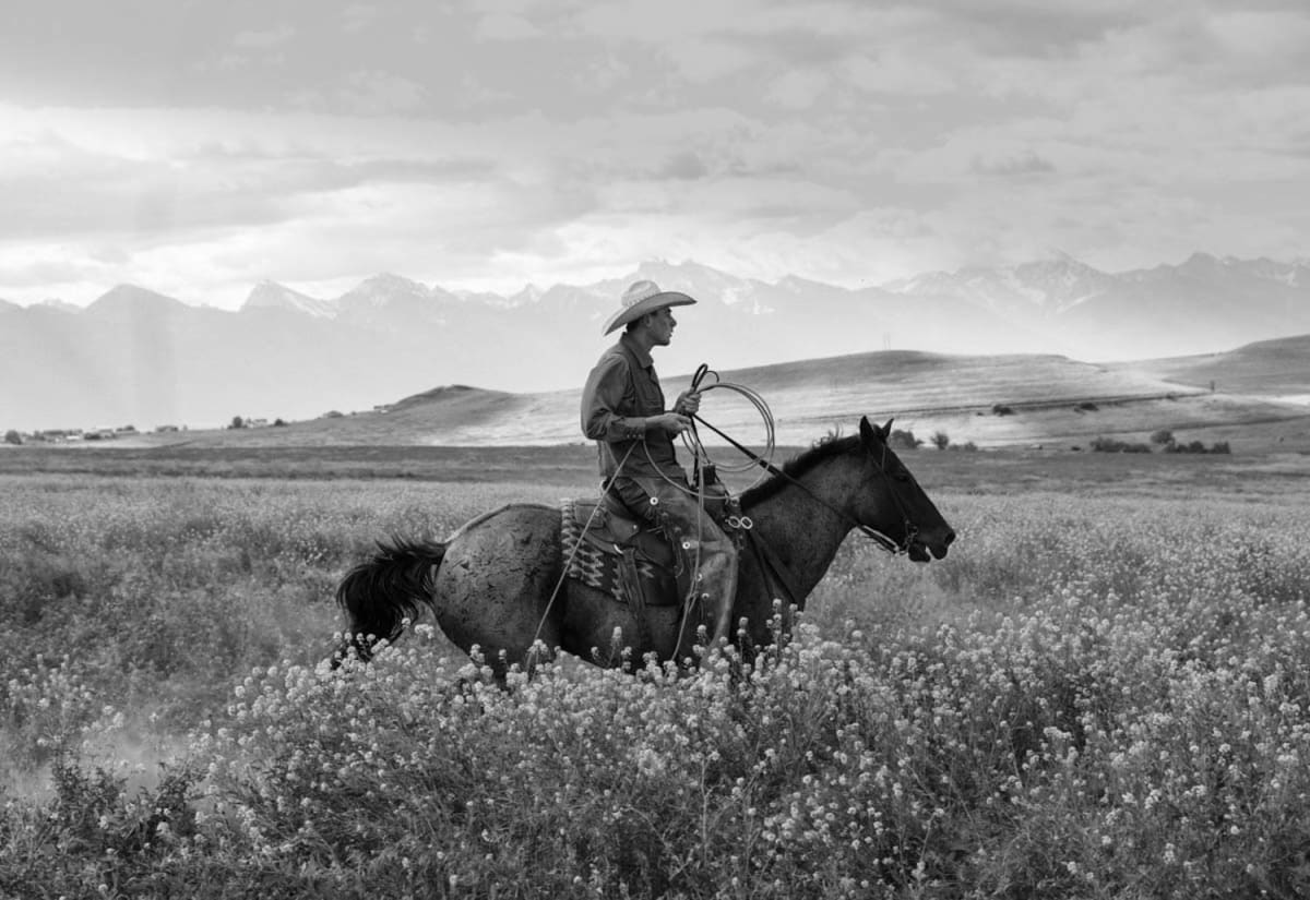 Crae In The Field 1/5 by Landry Major 