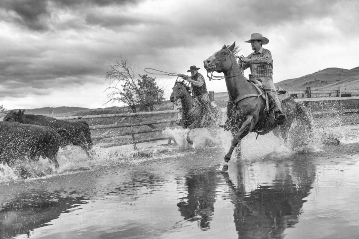 THE CROSSING 2/15 by Landry Major 
