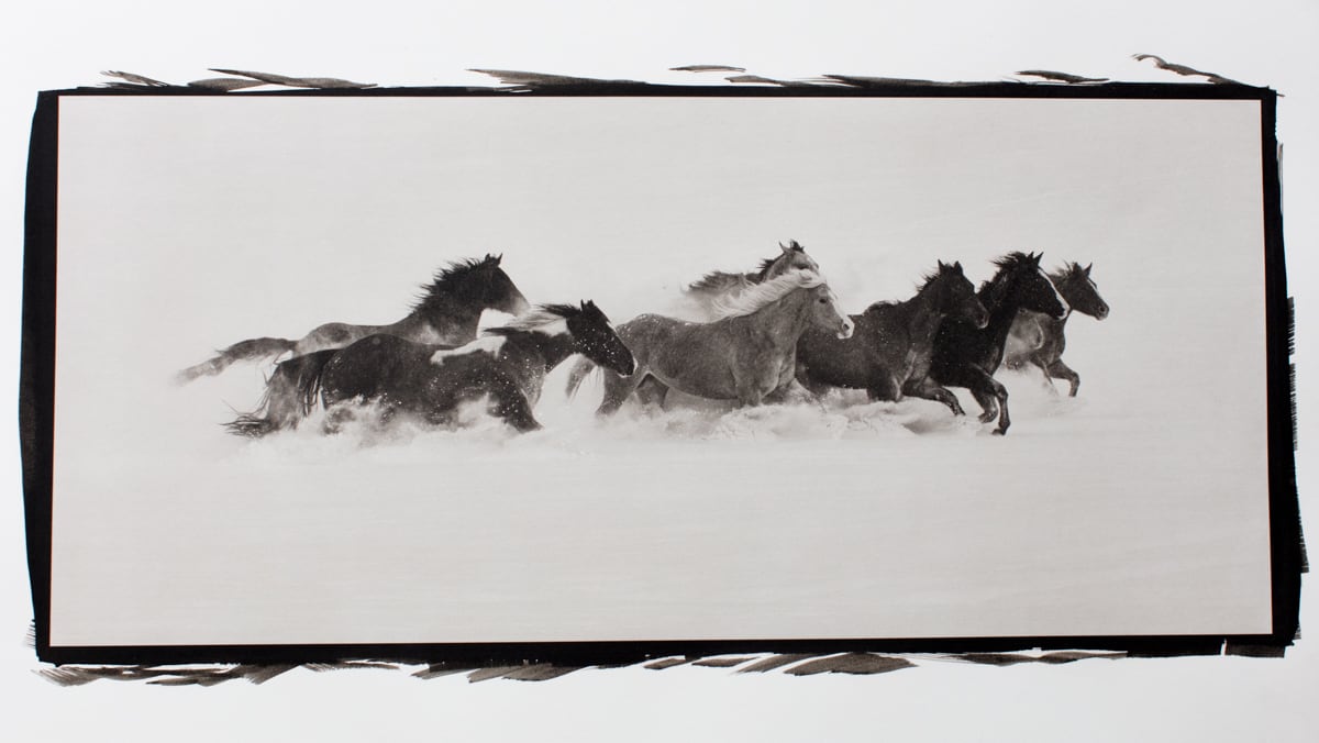 Winter's Horses  Image: Hand made Platinum Palladium Print