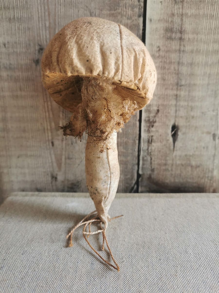 Large Mushroom 3, Image 1.