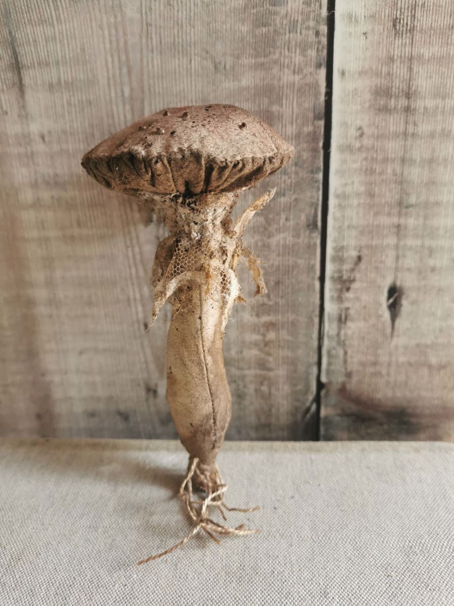 Small Mushroom 2 