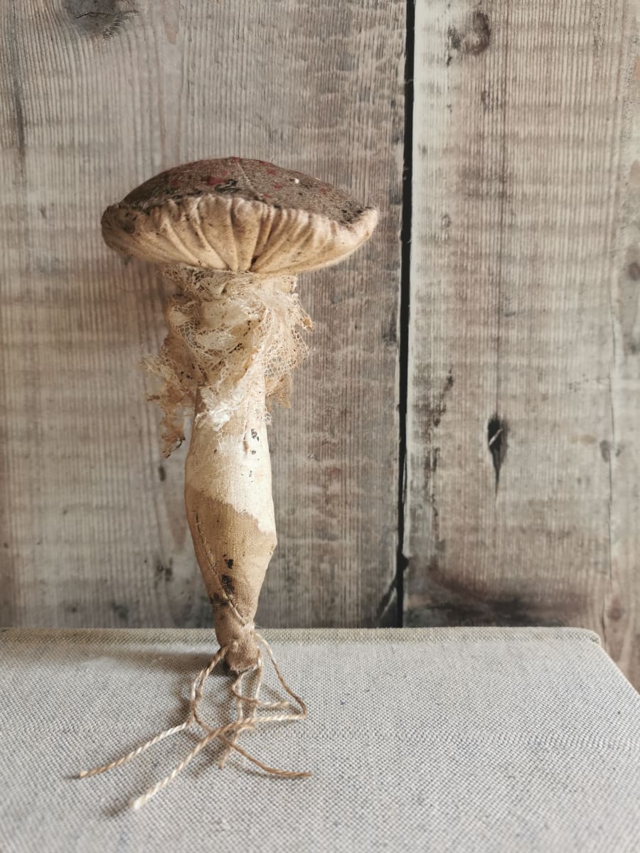 Small Mushroom 3, Image 1.