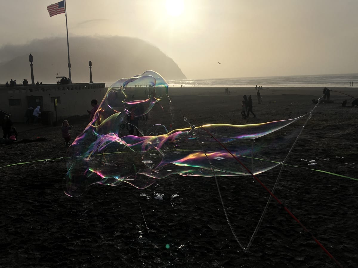 Glaringly Obvious  Image: At an Oregon beach, someone was blowing bubbles.