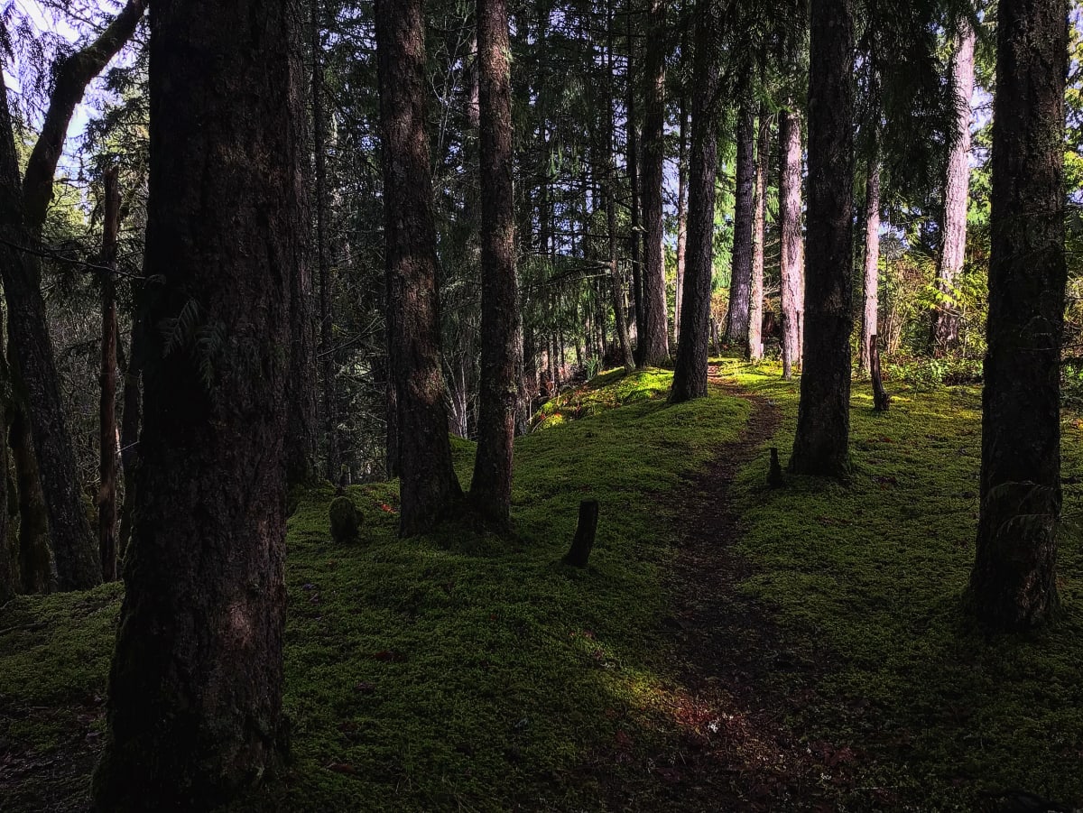 Pillars by Carolyn Dawn Good 