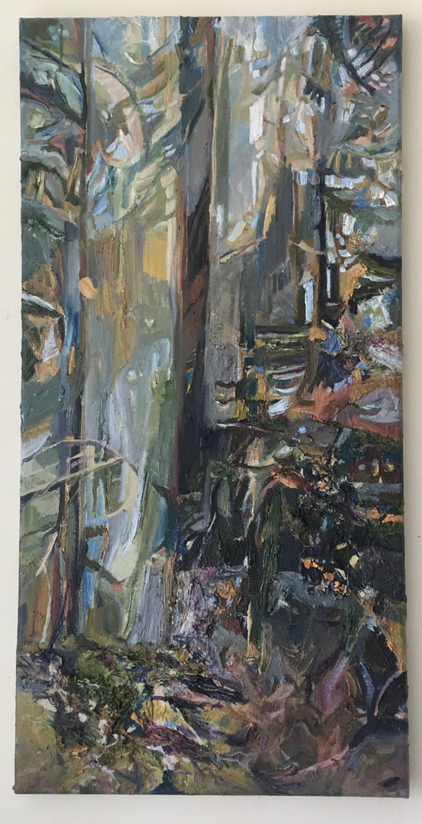 Agology  Image: A forest is a world of enchantment.