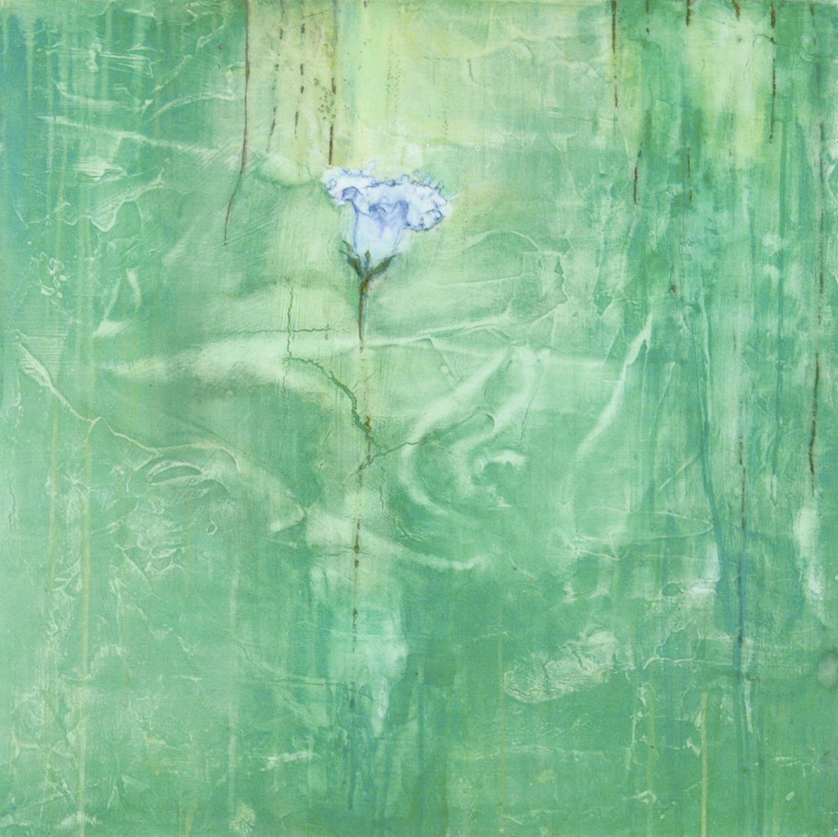 My Flower, My Heart 