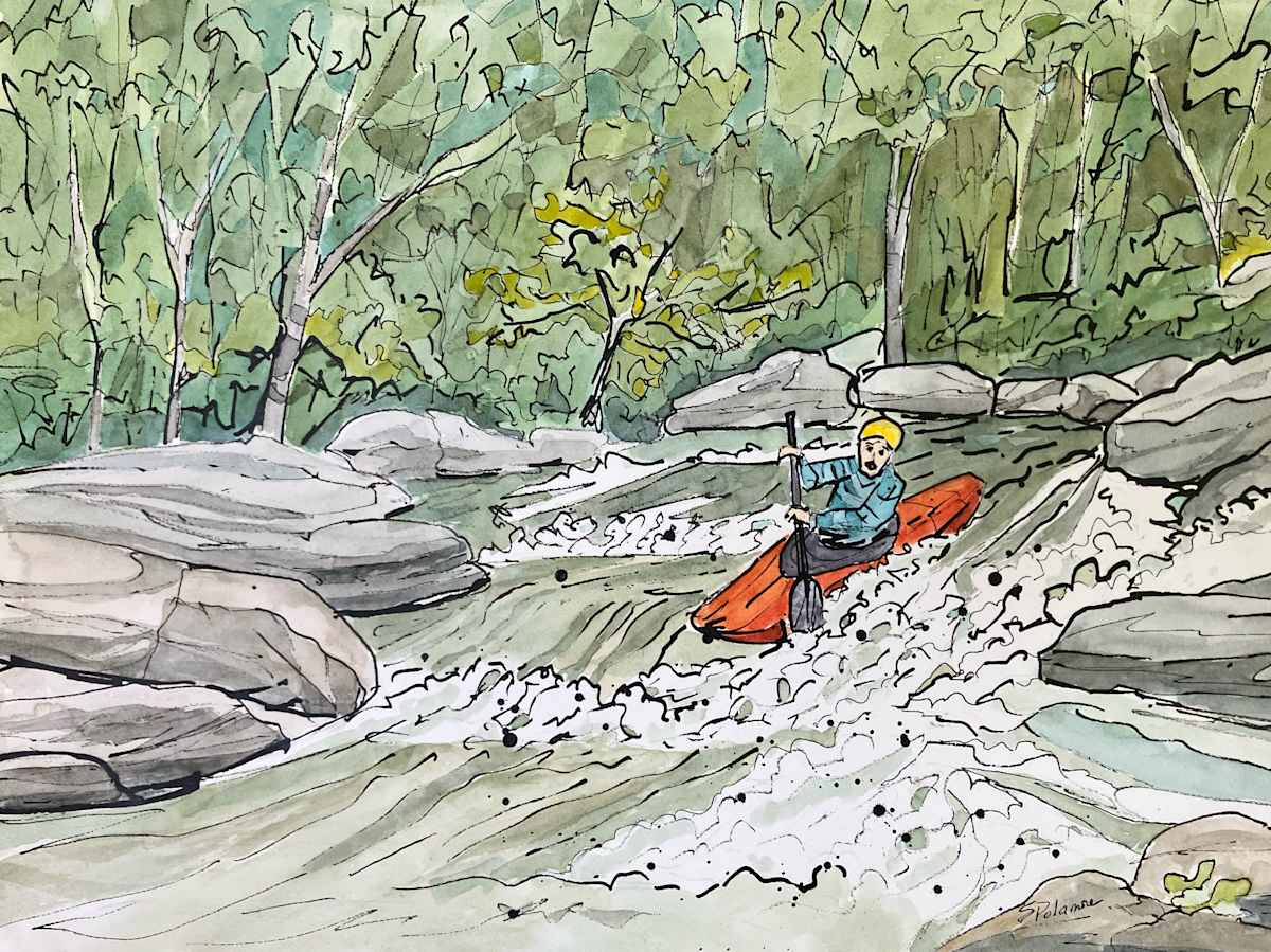 Riding Wild Water by Sue Dolamore 