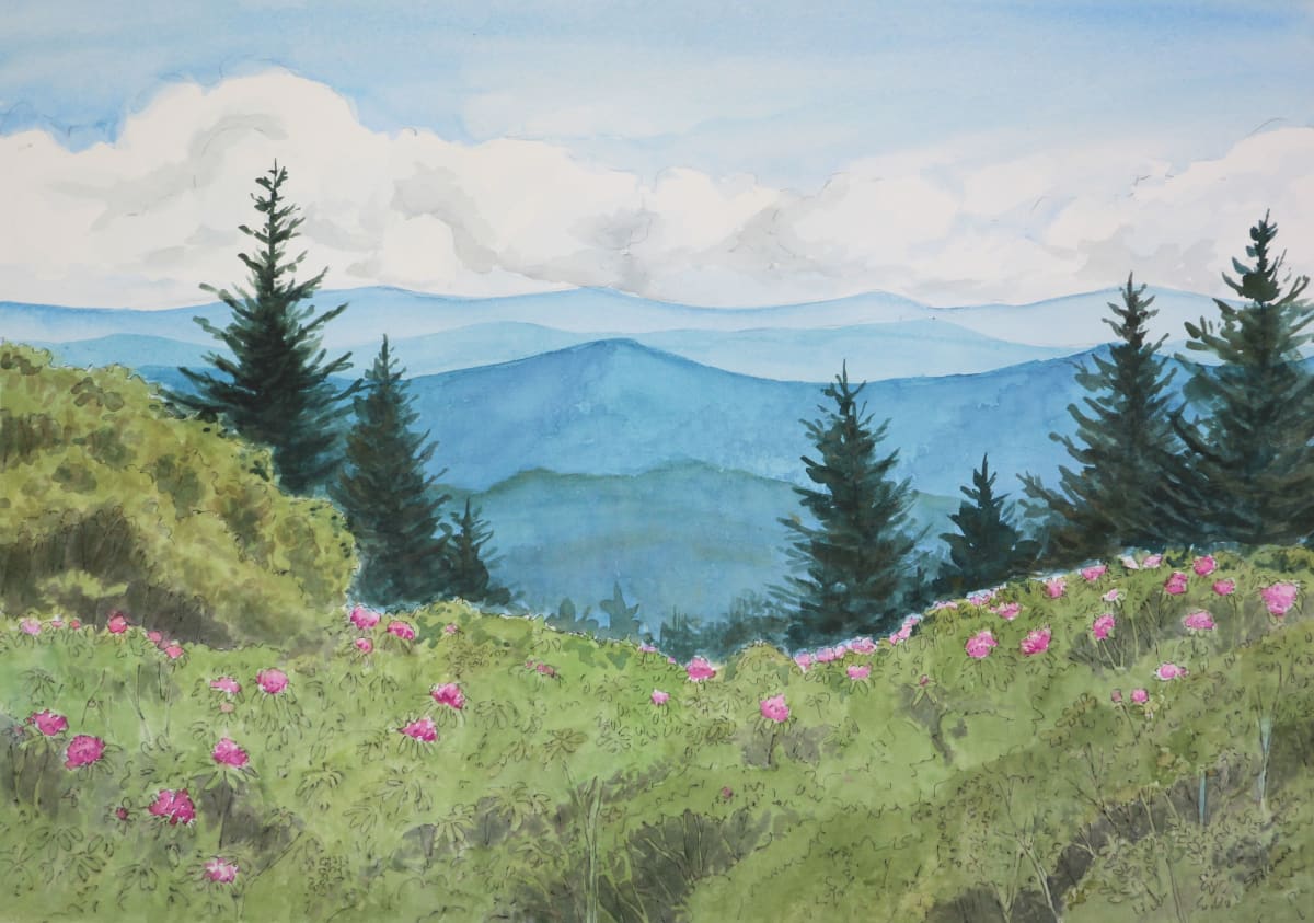 Beautiful Day by Sue Dolamore  Image: A beautiful vista in the Blue Ridge Mountains in summer when the rhododendrons are in bloom.  