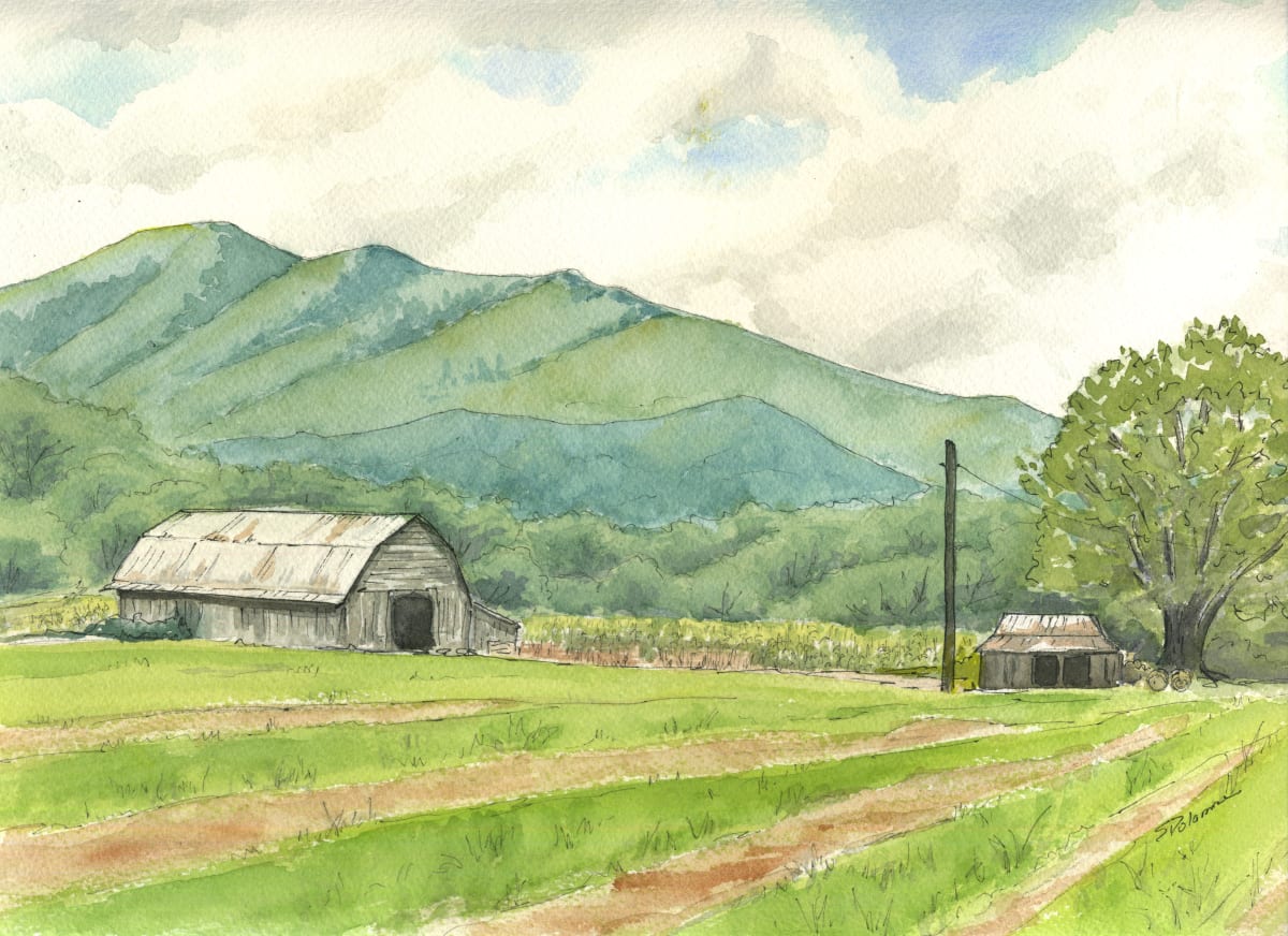Ten Acre Farm by Sue Dolamore 