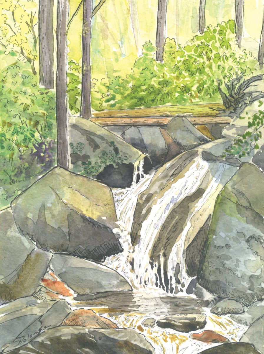 Skinny Dip Falls by Sue Dolamore  Image: Watercolor with ink line work, 6 x 8