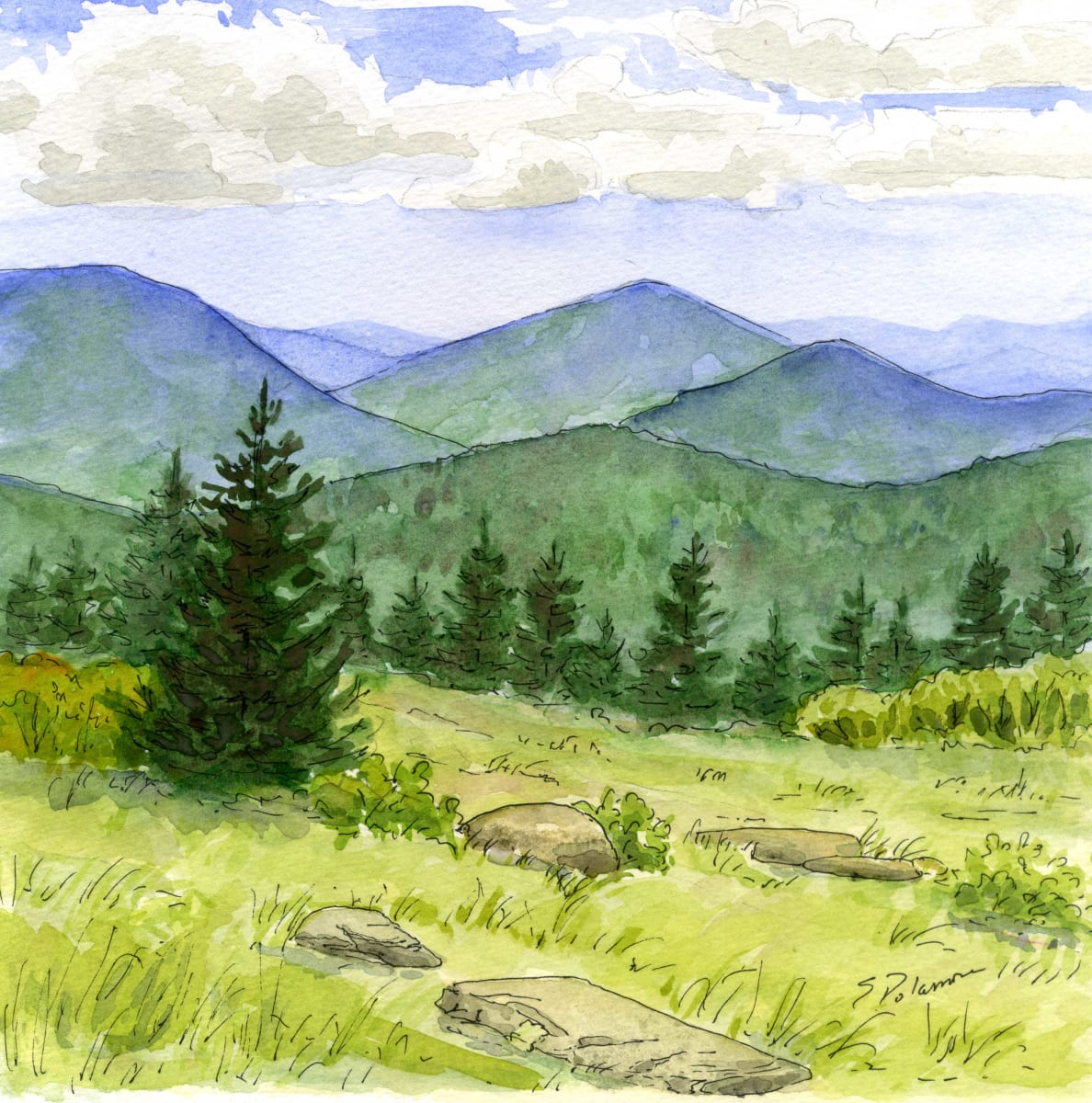 The Bald at Roan by Sue Dolamore 