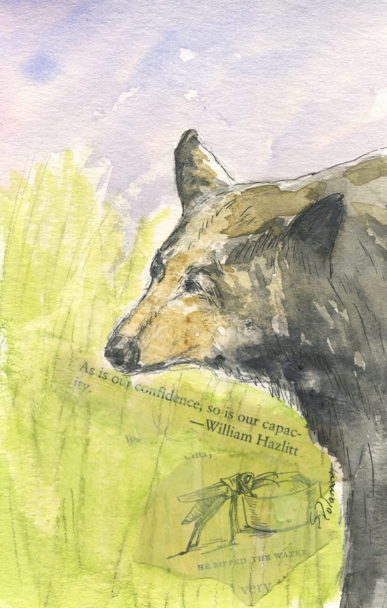 Confidence by Sue Dolamore  Image: "As is our confidence, so is our capacity" - William Hazlett