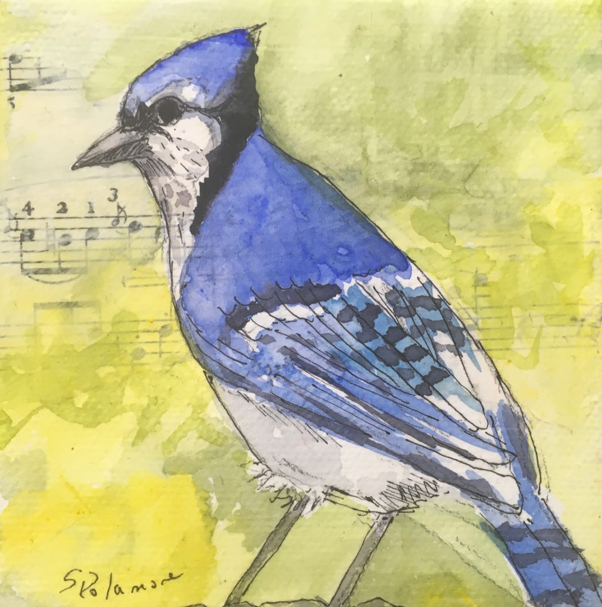 Blue Jay  Image: Musical score paper is first applied to the canvas and then the watercolor image is applied later.  Ink line work brings our more detail and cold wax preserves the painting.  