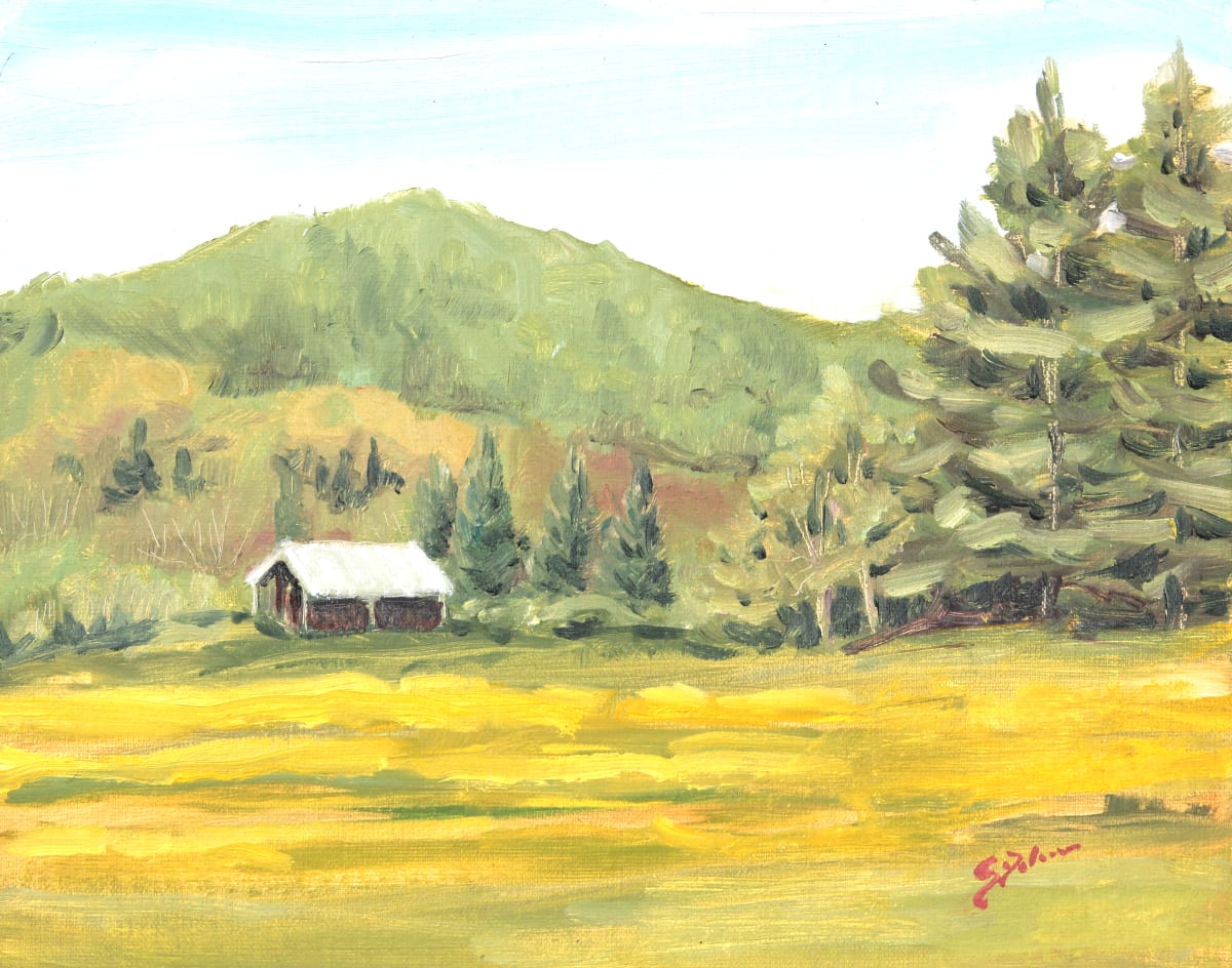 Buttercup Riot by Sue Dolamore 