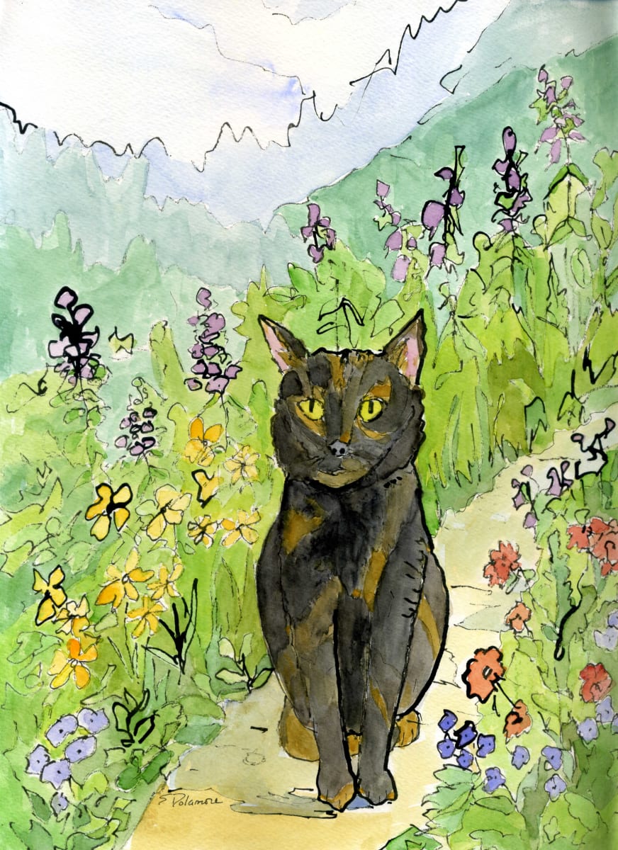 Cat in the Garden by Sue Dolamore 