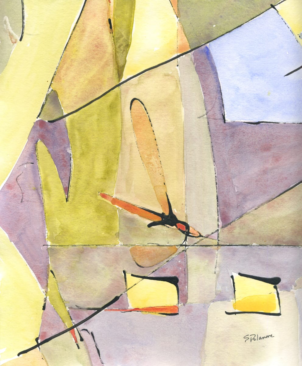 Flight Patterns by Sue Dolamore 