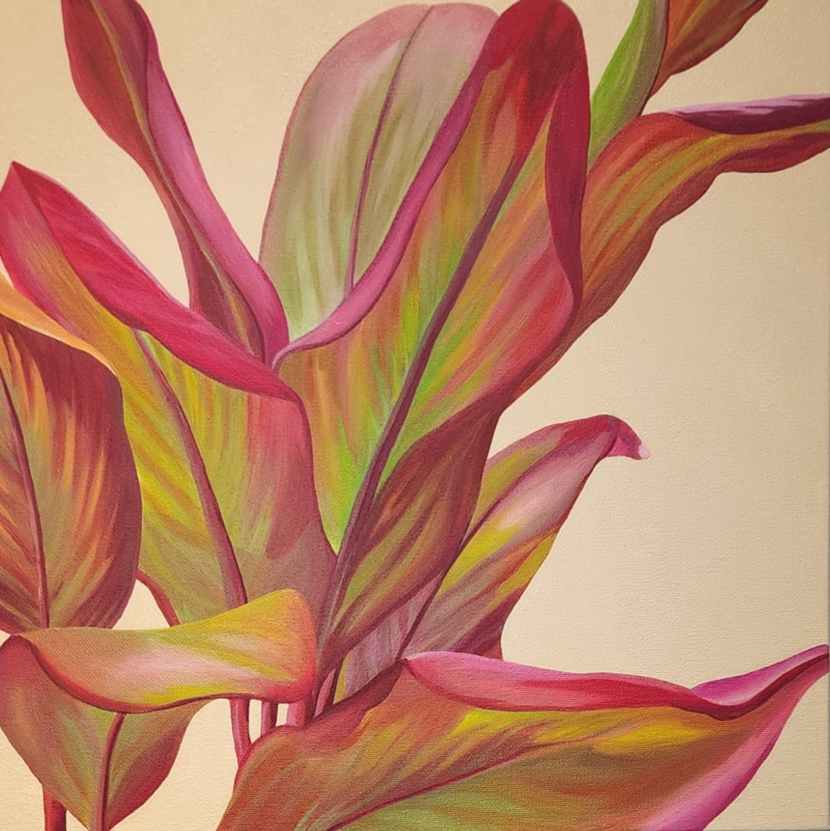 No. 70 Cordyline Ti - Auspicious by Renée Switkes 