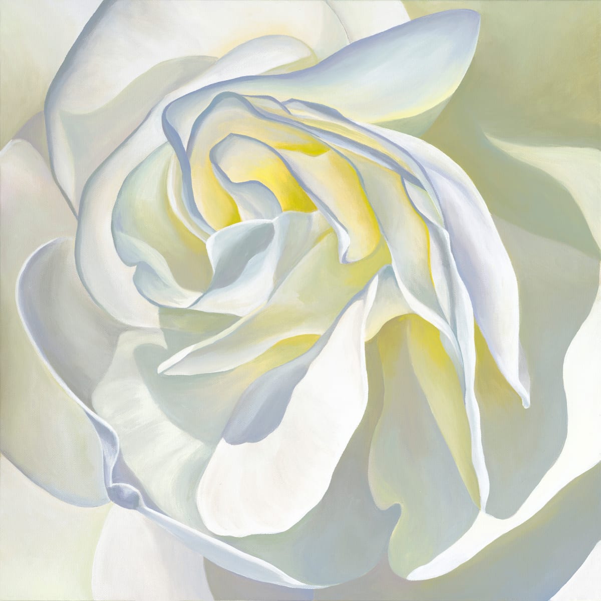 No. 75 Rose - Empowerment by Renée Switkes 
