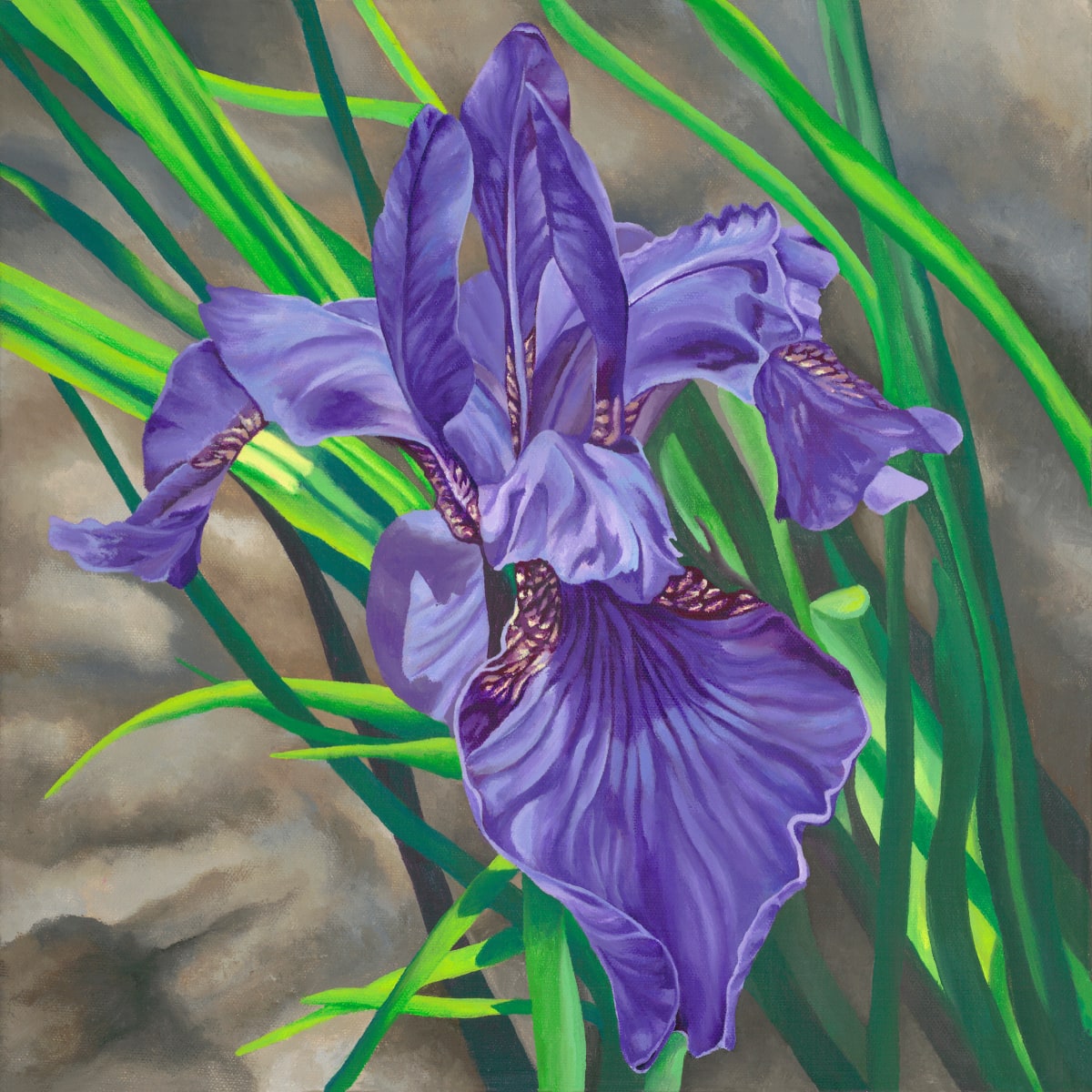 No. 44 Iris - Wisdom by Renée Switkes 
