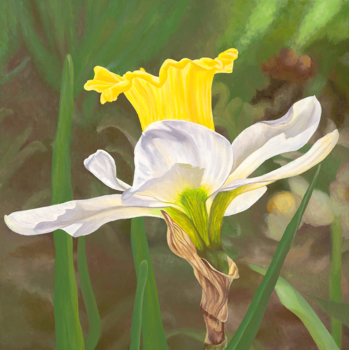No. 50 Daffodil - New Beginnings by Renée Switkes 