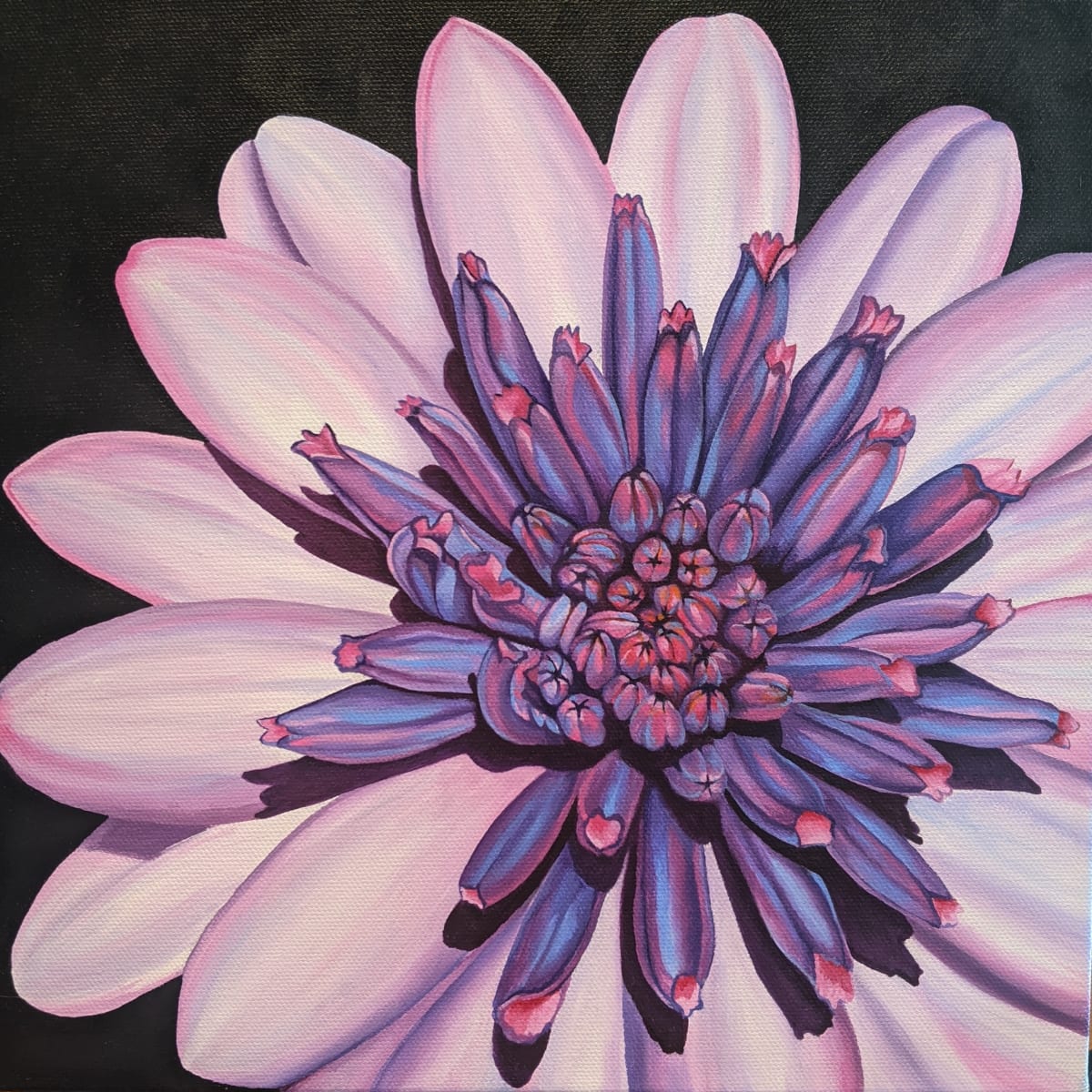 No. 28 Dahlia - Joy by Renée Switkes 